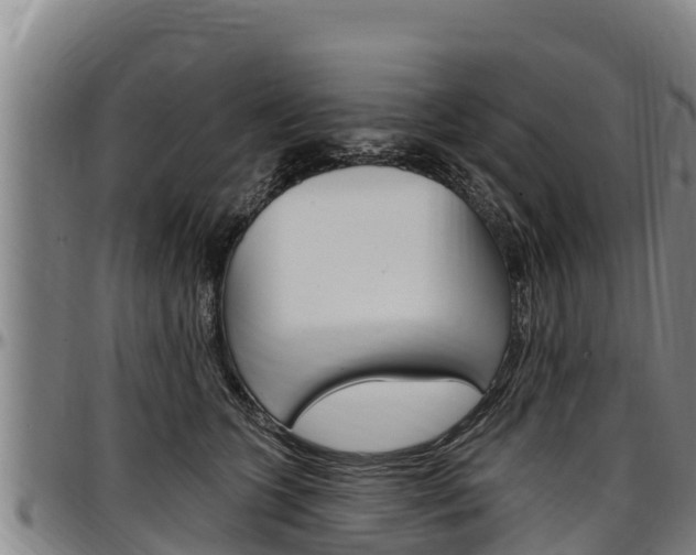 X0000097510563200802220907