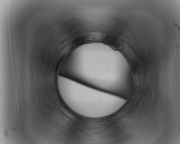 X0000097510564200802220907