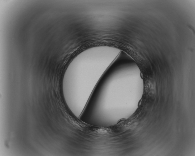 X0000097510566200802220907