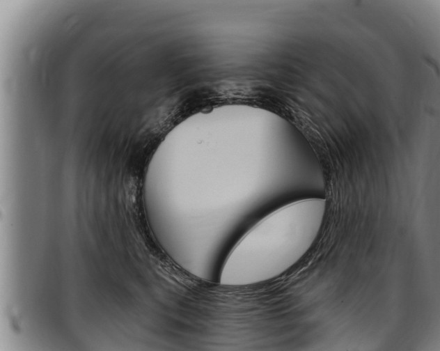 X0000097510567200802220907