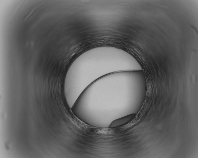 X0000097510568200802220907