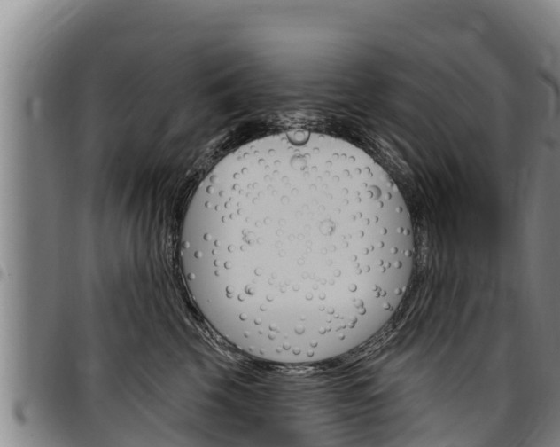 X0000097510569200802220907