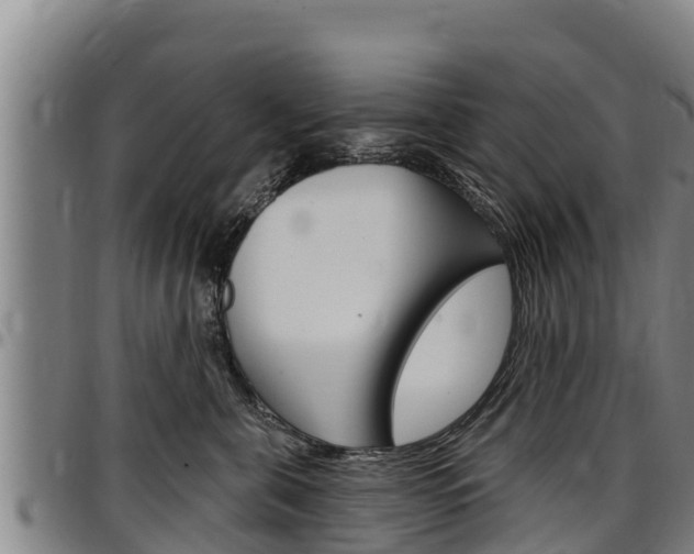 X0000097510571200802220907