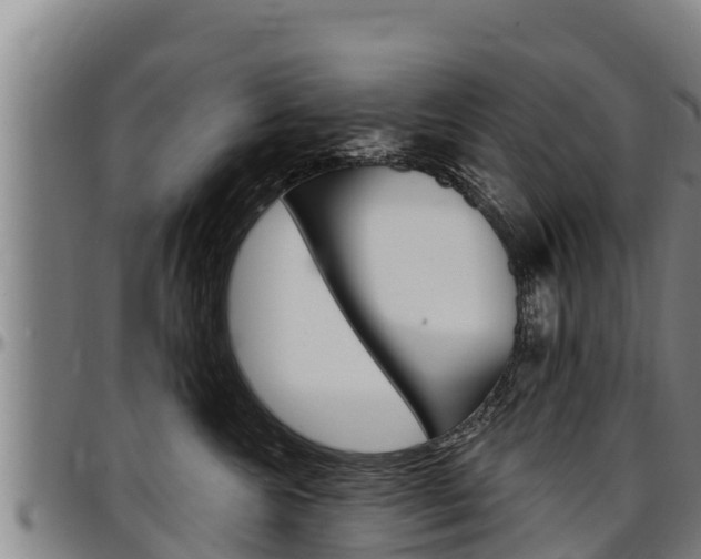X0000097510572200802220907