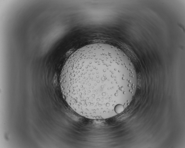 X0000097510573200802220907