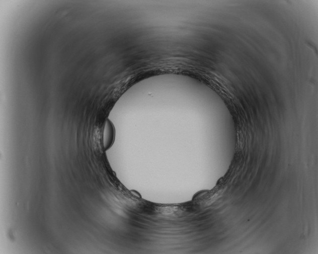 X0000097510575200802220907