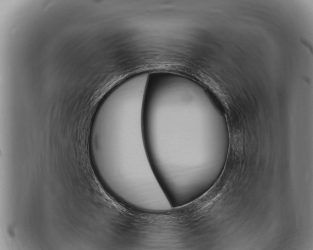 X0000097510577200802220907