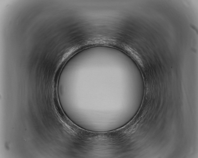 X0000097510578200802220907