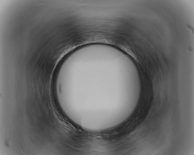 X0000097510579200802220907