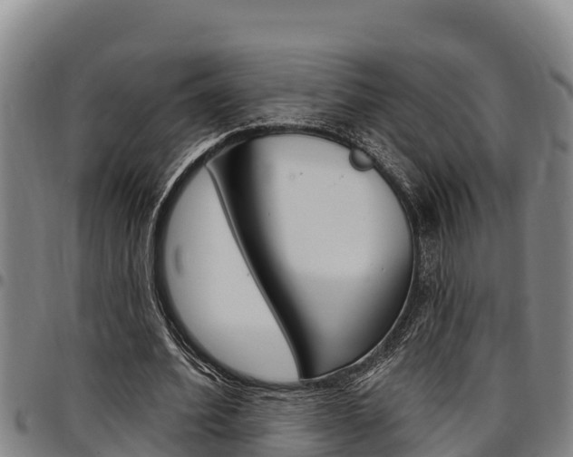 X0000097510580200802220907