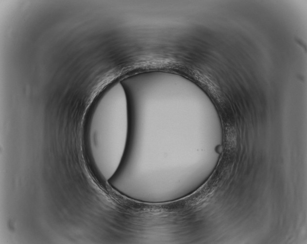 X0000097510582200802220907