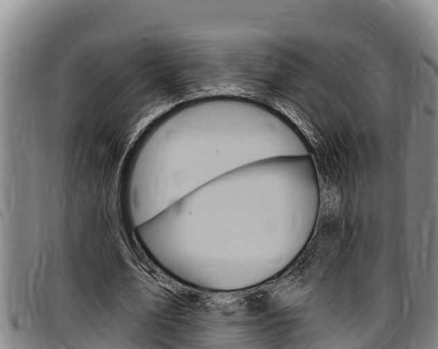 X0000097510583200802220907