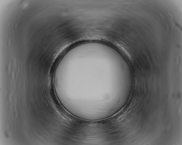 X0000097510584200802220907