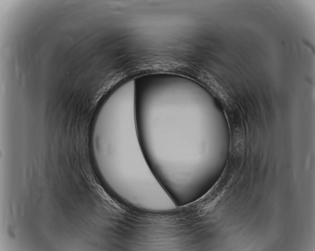 X0000097510585200802220907