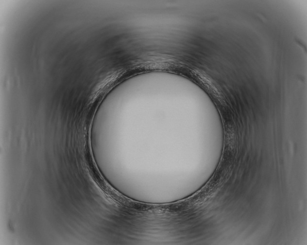 X0000097510586200802220907