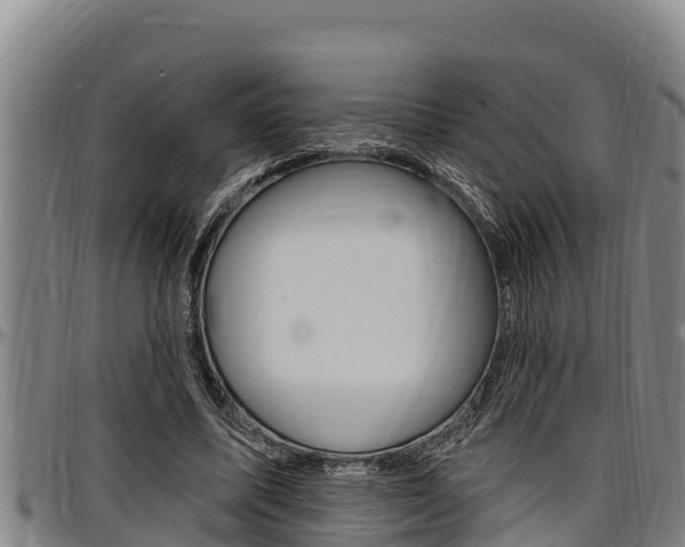 X0000097510587200802220907