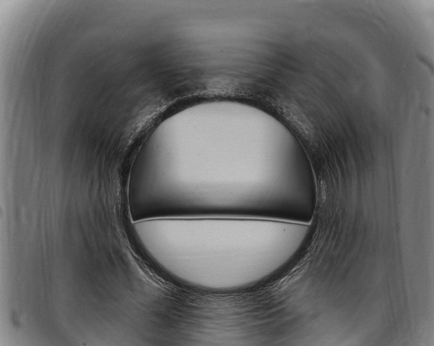 X0000097510588200802220907