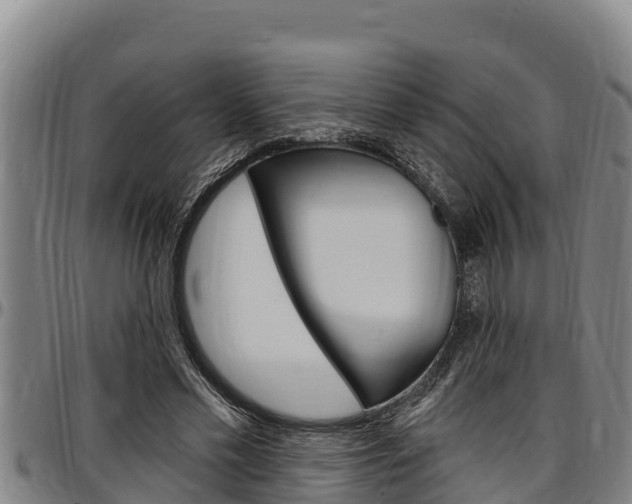 X0000097510589200802220907
