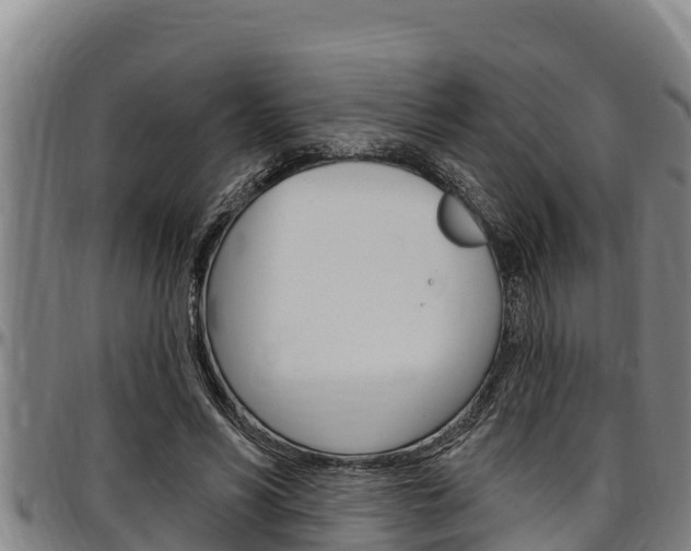 X0000097510590200802220907