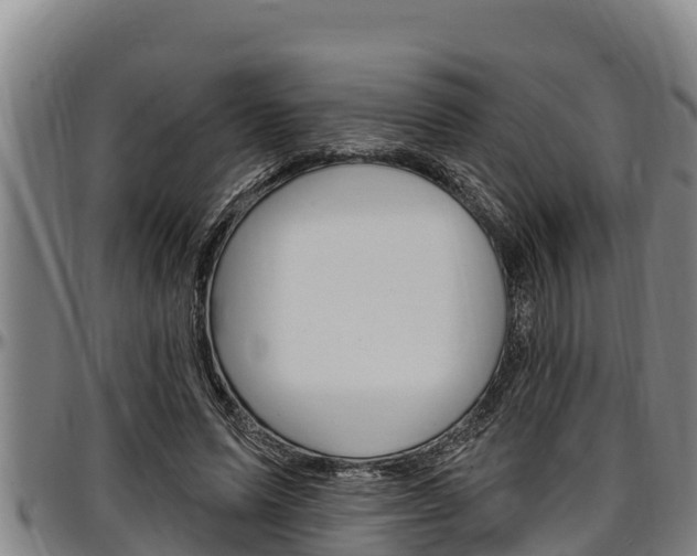 X0000097510591200802220907