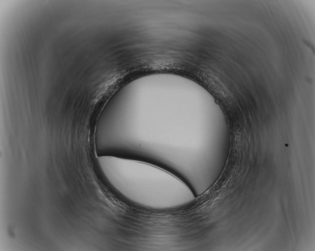 X0000097510592200802220906