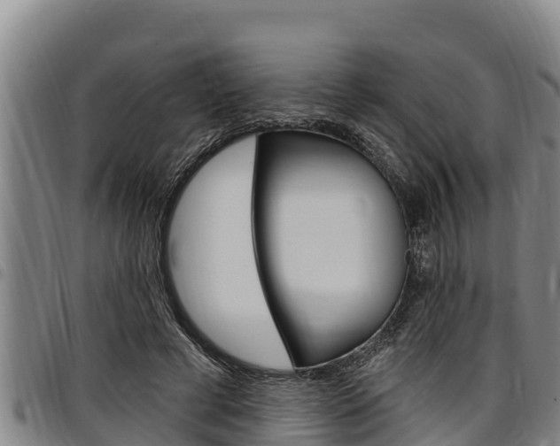 X0000097510593200802220906