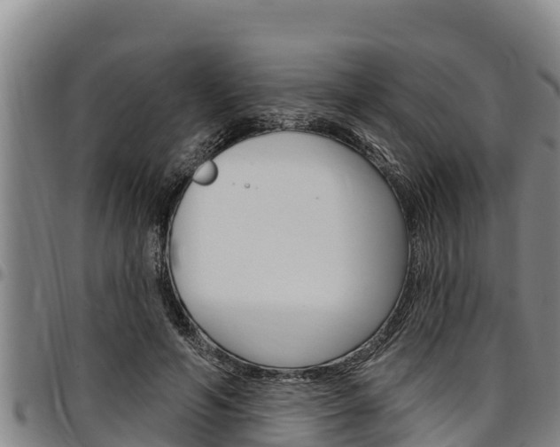 X0000097510594200802220906