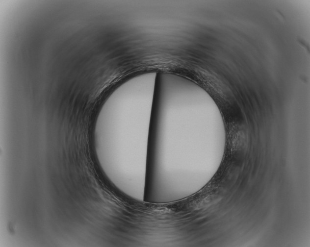 X0000097510595200802220906