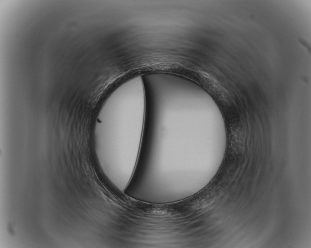 X0000097510596200802220906