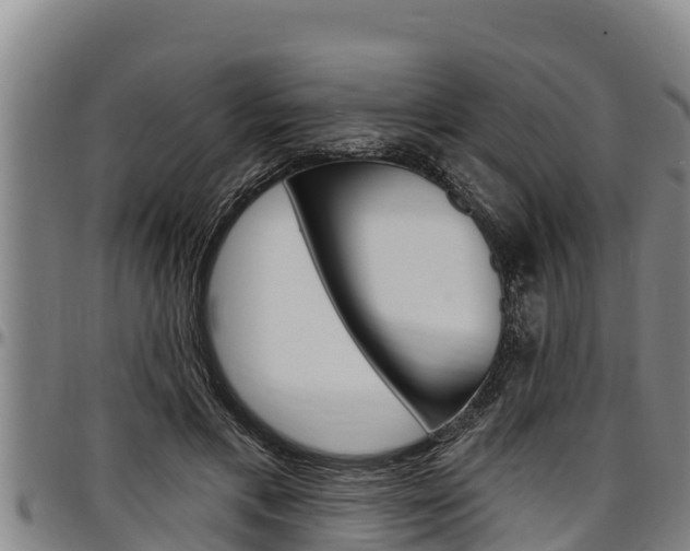 X0000097510597200802220906