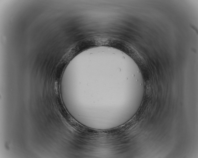 X0000097510598200802220906