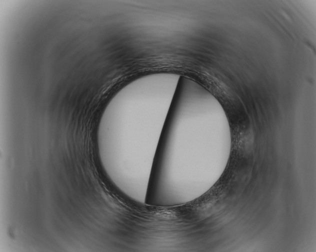 X0000097510599200802220906