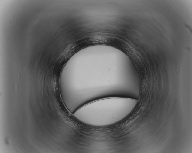 X0000097510600200802220906