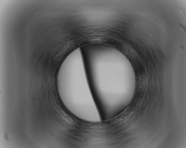 X0000097510601200802220906