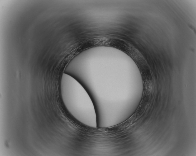 X0000097510602200802220906