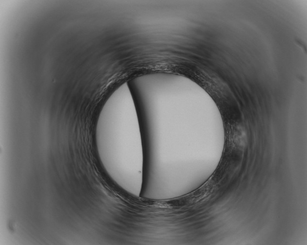 X0000097510603200802220906