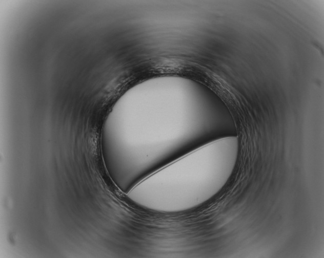 X0000097510604200802220906