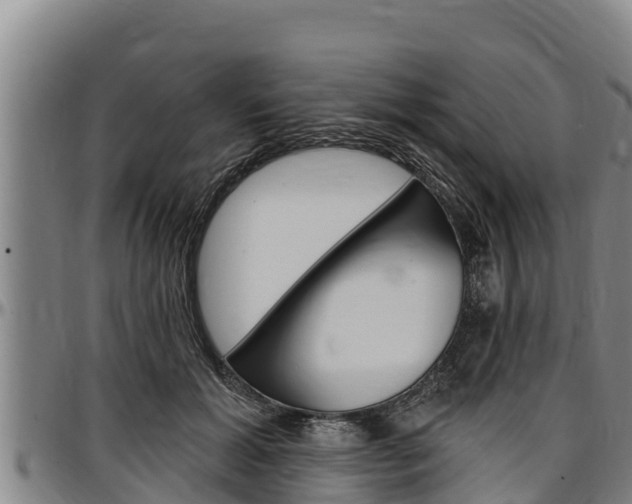 X0000097510605200802220906