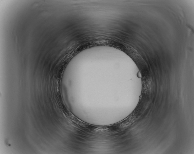 X0000097510606200802220906