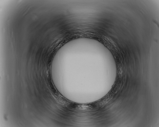 X0000097510607200802220906