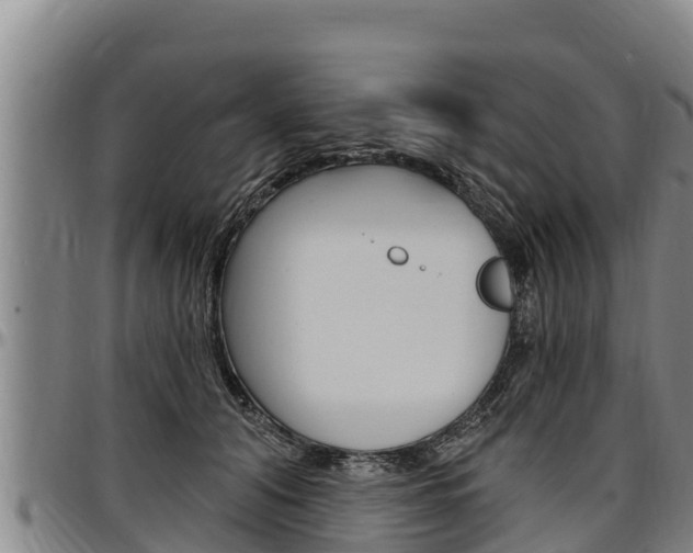 X0000097510608200802220906