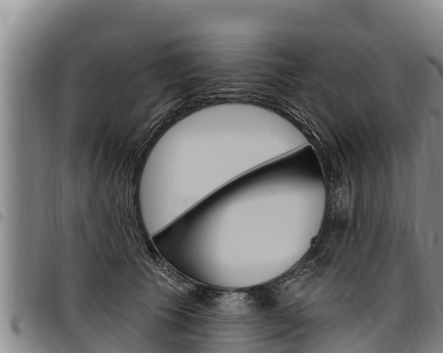 X0000097510609200802220906