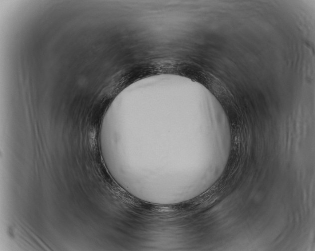 X0000097510610200802220906