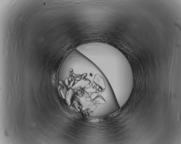 X0000097510611200802220906