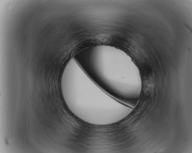 X0000097510613200802220906