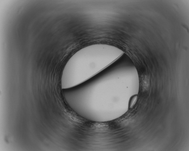 X0000097510619200802220906