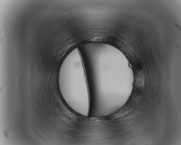 X0000097510620200802220906
