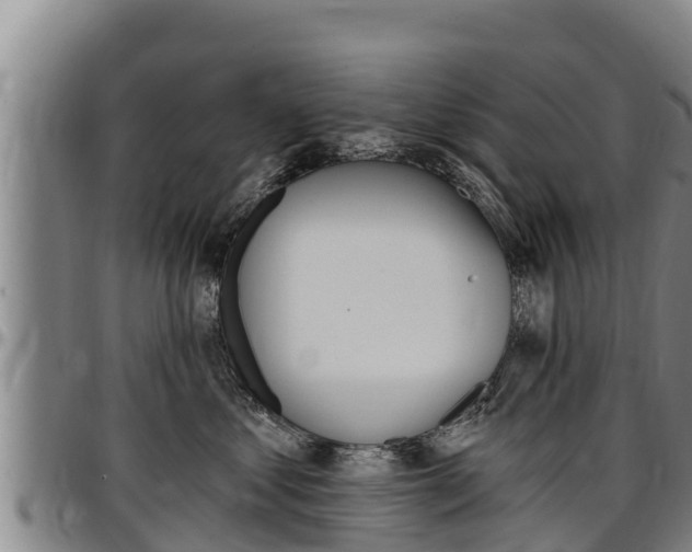 X0000097510621200802220906