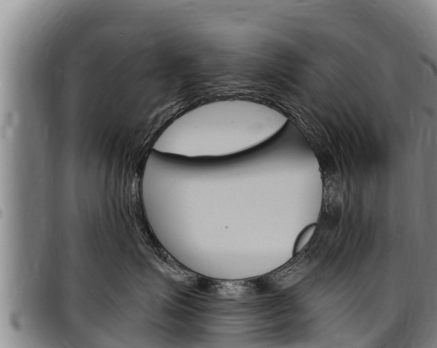 X0000097510623200802220906
