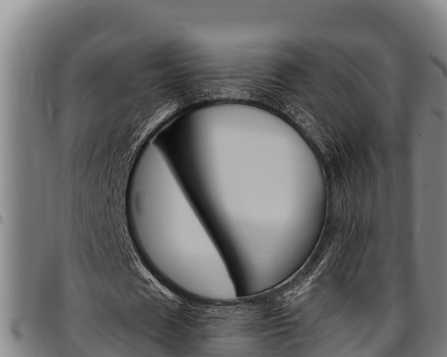 X0000097510625200802220905